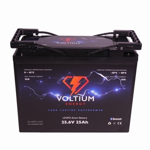 Voltium LiFePO4 Batterij 25,6 Volt 25Ah 640Wh BMS en App