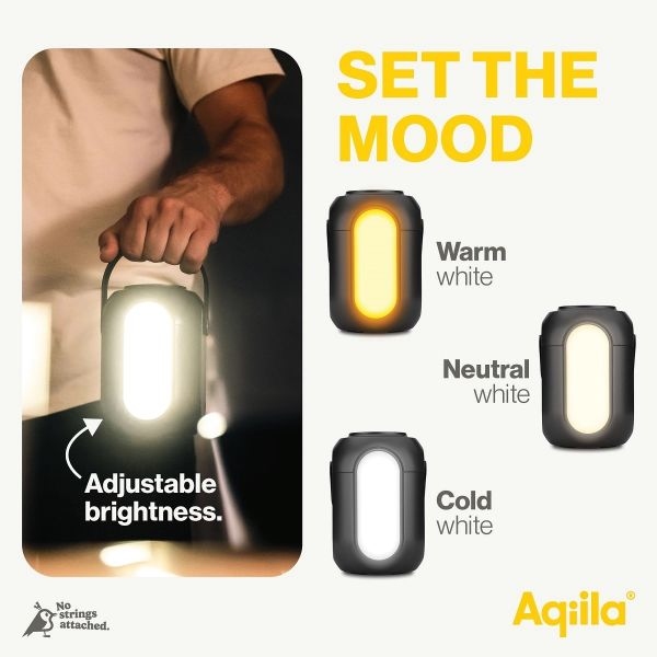 Aqiila Powerbird S140 Mini Power Station 54.000mAh 200Wh (0,2kWh)