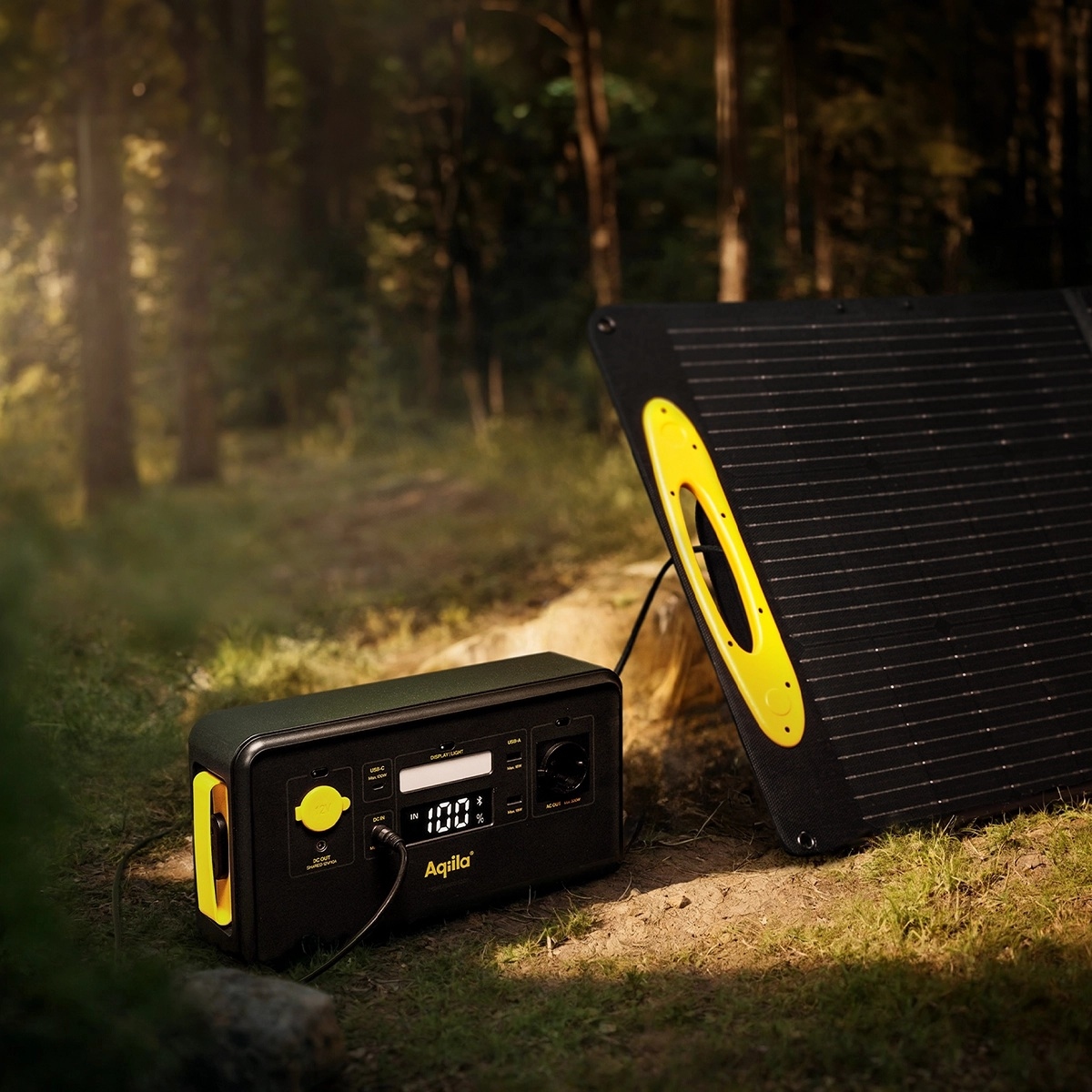 Aqiila Powerbird S300 Power Station 300Wh (0,3kWh)